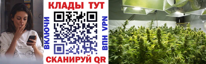 Купить закладку Волгоград КОКАИН ГАШИШ БУТИРАТ Марихуана Экстази Псилоцибиновые грибы