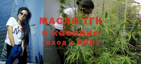 крисы Алзамай