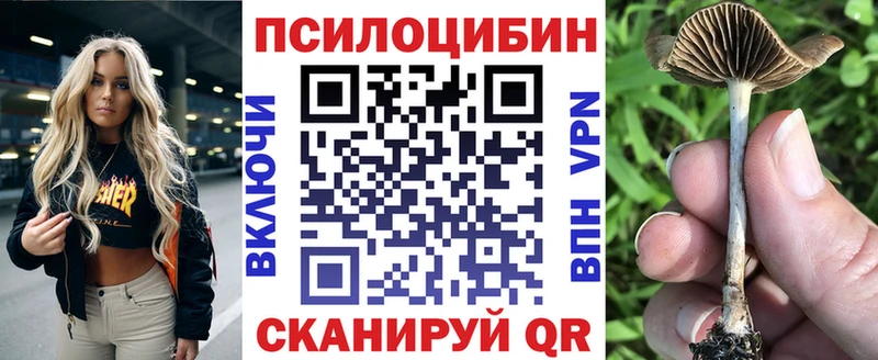 Псилоцибиновые грибы мицелий  Волгоград 