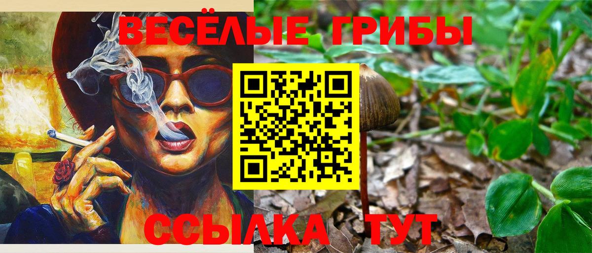 Галлюциногенные грибы Psilocybe  Вход с VPN  Волгоград  Галлюциногенные грибы Cubensis 