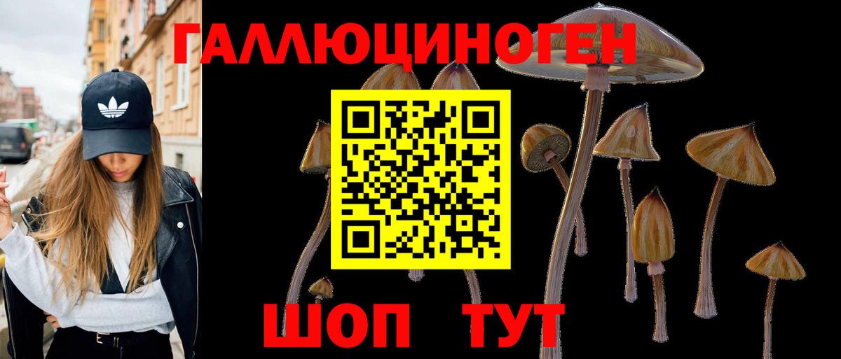где купить   Галлюциногенные грибы MAGIC MUSHROOMS  Вход с VPN  Волгоград 